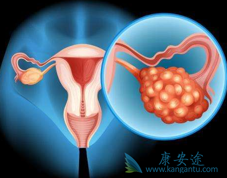 �ѳ���;�����ѳ���