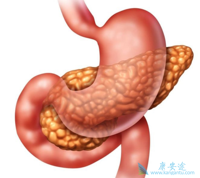 ���ٰ�;���ٰ�����