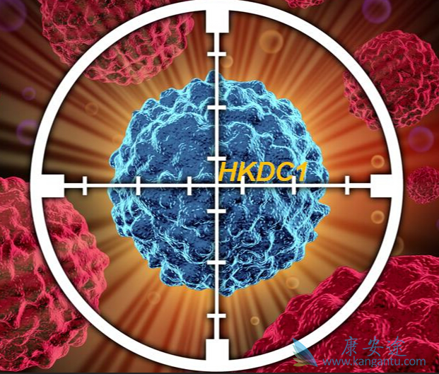 靶向治疗;靶向药物 靶向治疗;靶向药物