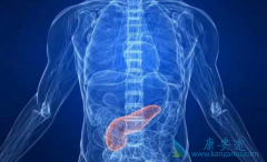 �������ٰ����߿��Գ��԰�������