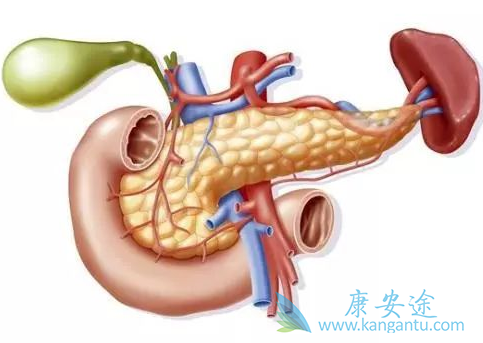 ���ٰ�;����