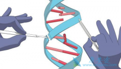 �Ѱ�ЧӦ���������𣿿��Ծ�׼���ưе���