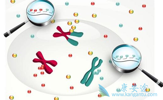 癌症;靶向药物 癌症;靶向药物