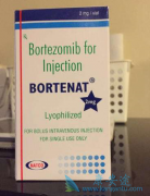 ����/���������ǹ��������Ƶ��ذ���Ʒ