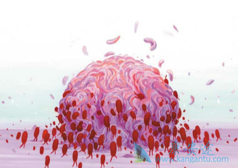 ����ת��;���ٰ�