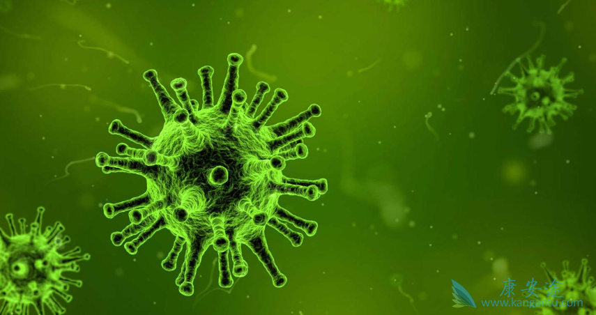 ����;����ת��