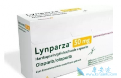 ��������/�����������г�Ǳ��