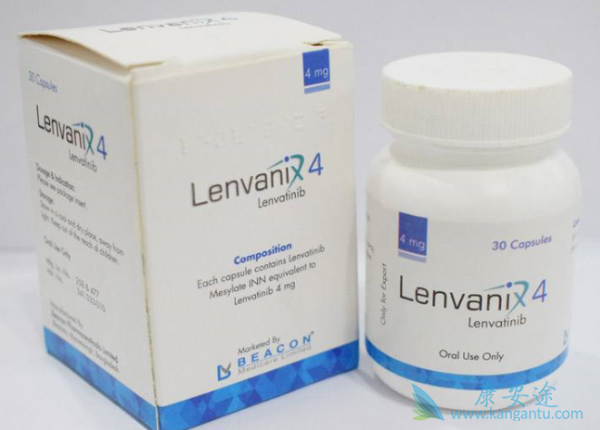 �ط�����