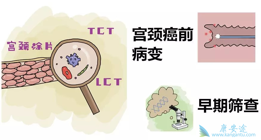 ��������������;������