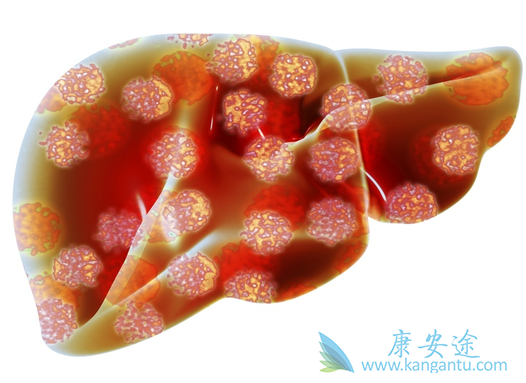 �ΰ�;���Ƹΰ�