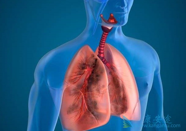 �ΰ�egfr�е�