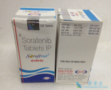 �༪�������������Ʋ��ܹ����������ĸΰ���������