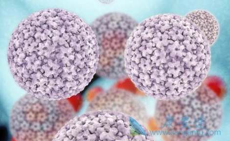 ���ο���