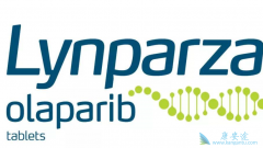 ��������/��������һ��ά������׿�г�Ч