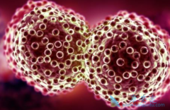 ��������(Olaparib)�Ļ����ڲ�ͬ����ͻ�������в�ͬ