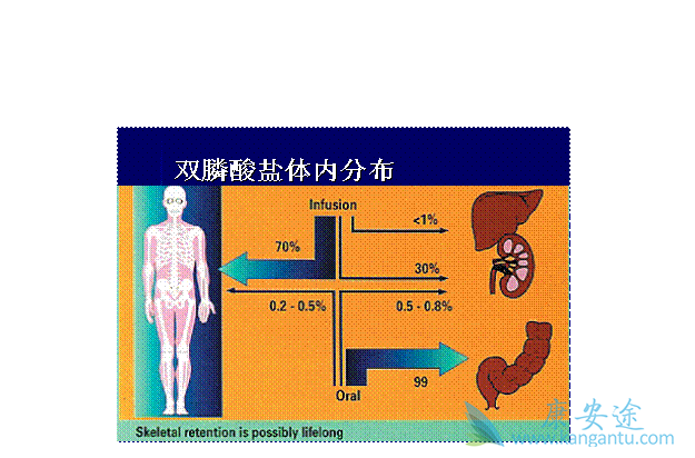 ˫������