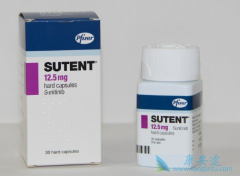 ��̹/����������������ʵ������