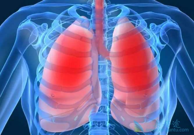 �ΰ�EGFR�е�