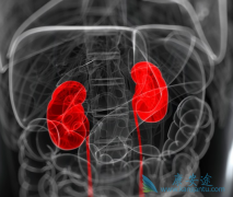 ��������������ҩ��Ӧ�÷��ð������ỹ����άĪ˾��