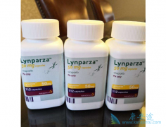 ��������(olaparib)�Ļ��������ٰ�������ζ��ʲô��