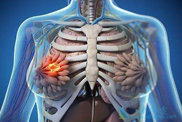 内分泌治疗 内分泌治疗