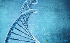 ʹ�ÿ���ҩ���������ʲô������Ӧ��