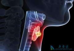 ת���Լ�״�ٰ��԰��������л�����