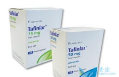 ������������������ܷ�Ϊ���ߴ�������������棿