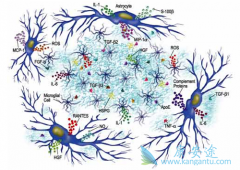 ��Ƥ�ʼ��ض�������ϸ�����ӷ籩��Ч����