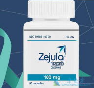 ��������(Zejula)�����ѳ�������Щ���㣿