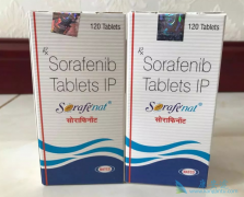 �ΰ����߿��ԳԶ༪��/�ױ�������������Ƭ��