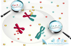 ����ҩ���ڷΰ������е����ô���