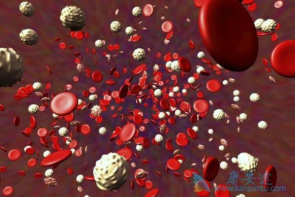 ϸ�����ӷ籩