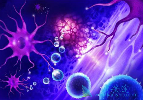 多发性骨髓瘤 多发性骨髓瘤