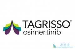 ���߳�̩��ɳ9291��Ҫ�Ի��߽������������