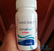 �༪��/���������ڼ�״�ٰ��е��о�