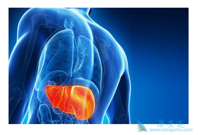 ���͸��ײ���