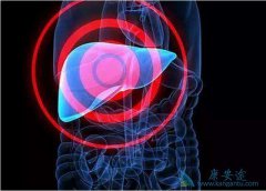 ���ο�����������Ч����