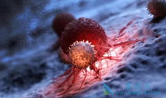 CAR-Tϸ�����ܰ��������еĽ�չ