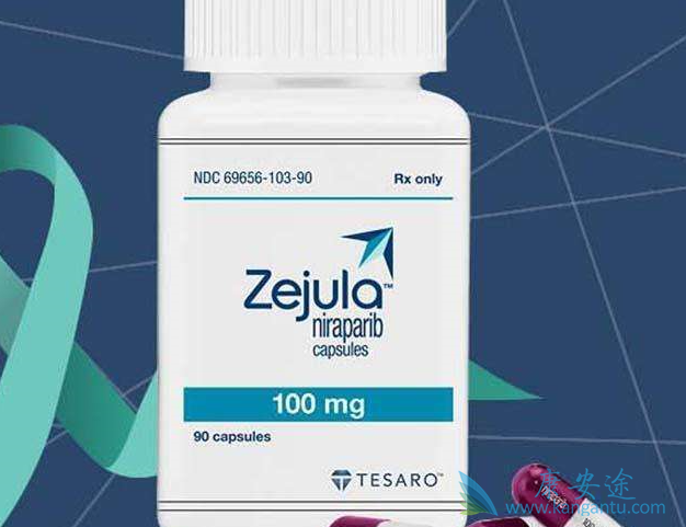 尼拉帕尼 尼拉帕尼