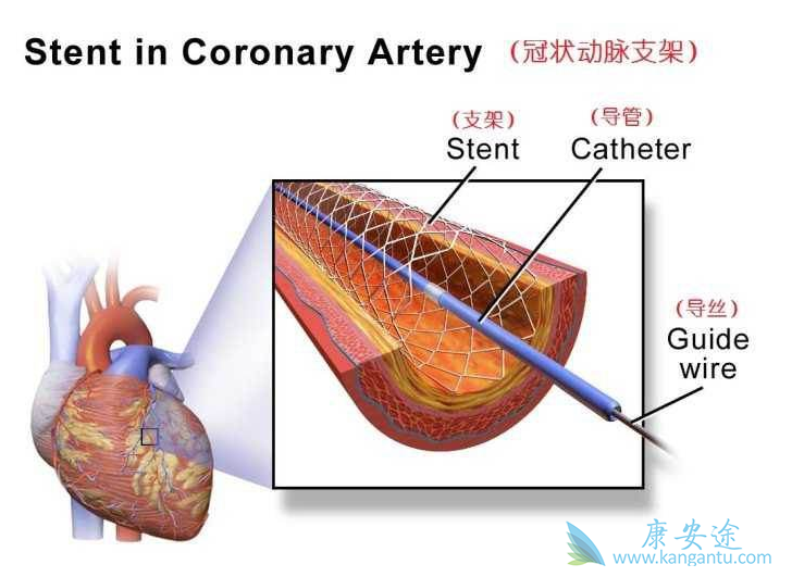 ����֧��