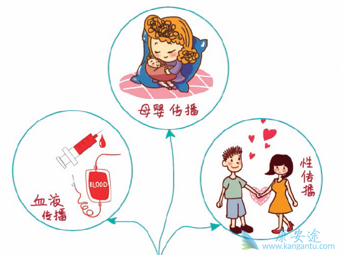 丙肝传播途径 丙肝传播途径