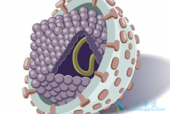 ���Ʊ��μ��𣿱��ο�������ʲô�ã�