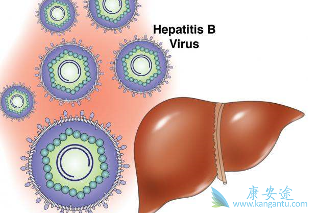 乙肝治疗 乙肝治疗