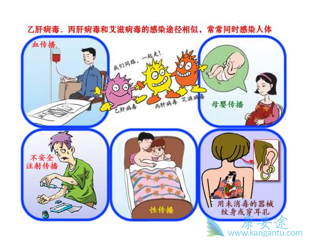 HCV传染 HCV传染