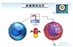 ��ϸ��ʹ�ð���ҩ��֮��Ч������