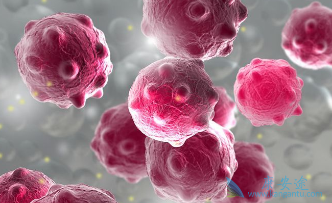 ��״����