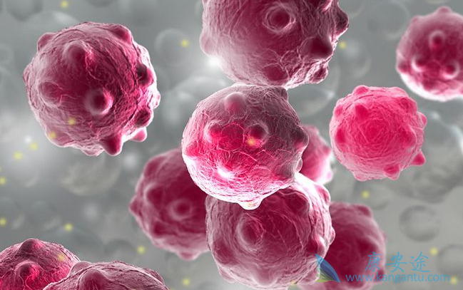 新型冠状病毒 新型冠状病毒