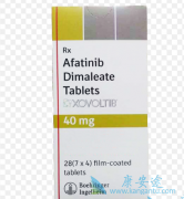 Afatinib/������������ƶ��ΰ����ƽ�������Ҫ����