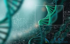 ������Τ���������͹�״�����ϵľ���Ч���д��о���֤